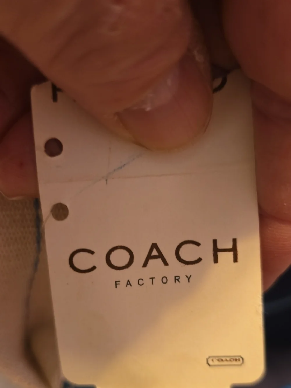 NWT Coach Twill Garden Tote with Light Blue Trim and Cream Handles‎